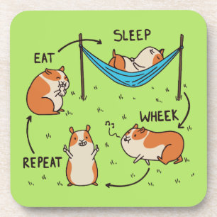 De levenscyclus van een cavia bier onderzetter