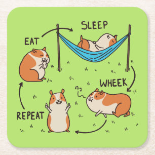 De levenscyclus van een cavia kartonnen onderzetters