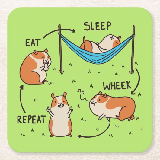 De levenscyclus van een cavia kartonnen onderzetters (Voorkant)