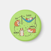 De levenscyclus van een cavia magneet (Voorkant)