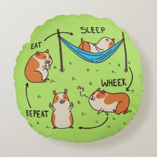 De levenscyclus van een cavia rond kussen