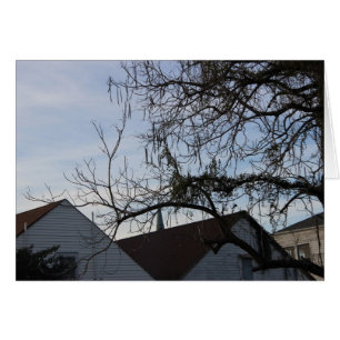 De Levensstijl van New Orleans