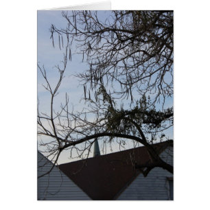 De Levensstijl van New Orleans