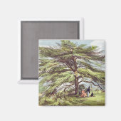 De Libanese cedar-boom in het Arboretum, Kew Garde Magneet (Voorkant / Achterkant)