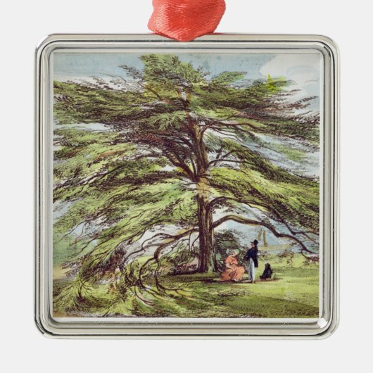De Libanese cedar-boom in het Arboretum, Kew Garde Metalen Ornament (Voorkant)
