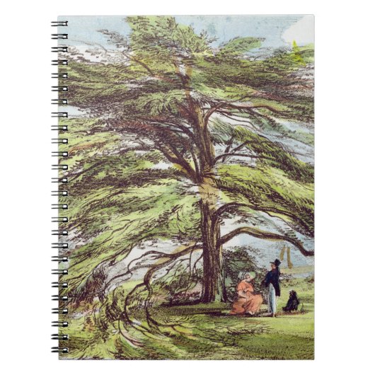 De Libanese cedar-boom in het Arboretum, Kew Garde Notitieboek (Voorkant)