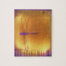 De libel en het raadsel van de Zon