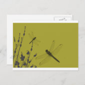 De libellen in de Gras Briefkaart (Voorkant / Achterkant)