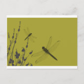 De libellen in de Gras Briefkaart (Voorkant)