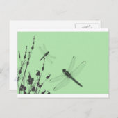 De libellen in de Gras Briefkaart (Voorkant / Achterkant)