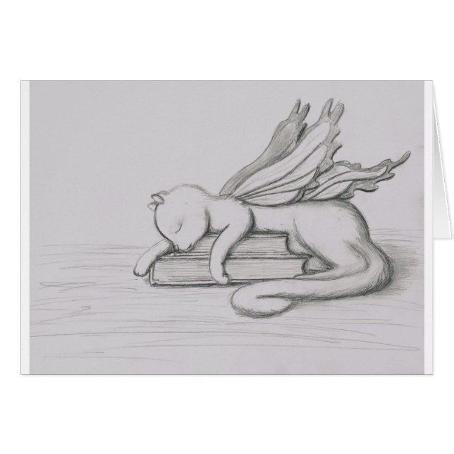 De Librarian (Voorkant Horizontaal)