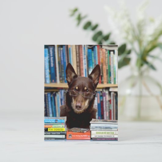 De Librarian Briefkaart (Staand voorkant)