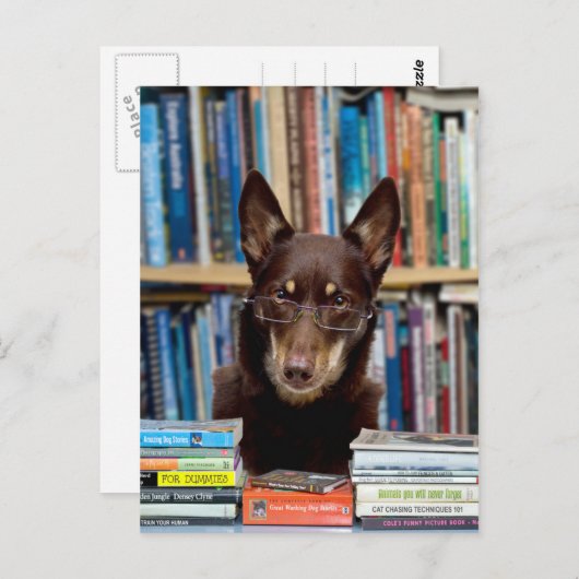 De Librarian Briefkaart (Voorkant / Achterkant)