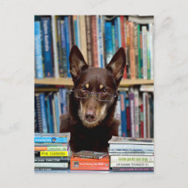 De Librarian Briefkaart