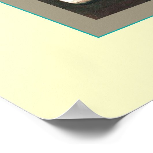 De Librarian Poster (Hoek)