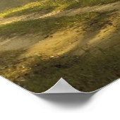 De lichtbundels in oerwoud worden door bomen geper poster (Hoek)