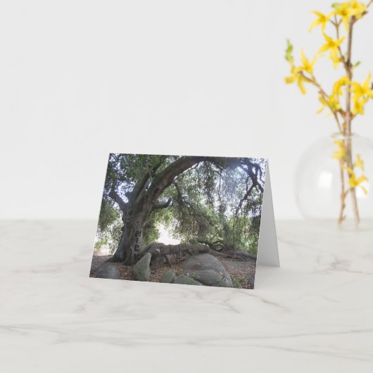 De Lichten van de engel Kaart (Gele Bloem)