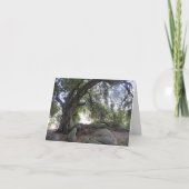 De Lichten van de engel Kaart (Voorkant)