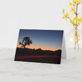 De Lichten van de Staart van de Boom van Joshua Kaart (Gele Bloem)