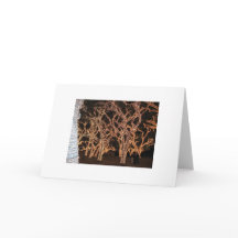 De Lichten van Kerstmis