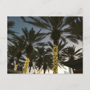 De Lichten van Kerstmis van de palm Feestdagenkaart