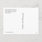 De Lichten van Kerstmis van Omaha Nebraska Feestdagenkaart (Achterkant)