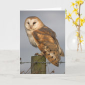 De lichtjes Verstoorde Uil van de schuur Kaart (Gele Bloem)