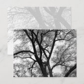 De lidmaten van Natuur Briefkaart (Voorkant / Achterkant)