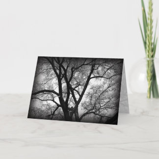 De lidmaten van Natuur Kaart