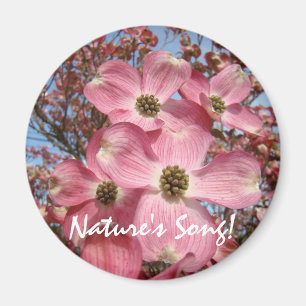 De Lied van de Natuur! magneet Roze Dogwood Bloeme