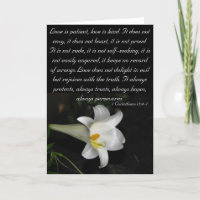 De liefde is geduldige…