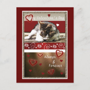 De Liefde Valentijn van het katje Feestdagenkaart