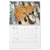 De liefde van buik kalender (Feb 2026)