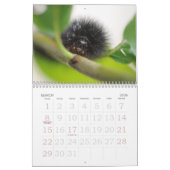 De liefde van buik kalender (Mar 2026)