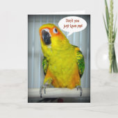 De Liefde van Conure van de zon Feestdagen Kaart (Voorkant)