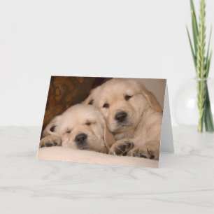 De Liefde van de broer Kaart