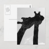 De Liefde van de Giraffe Briefkaart (Voorkant / Achterkant)