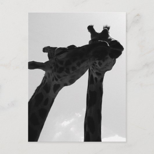De Liefde van de Giraffe Briefkaart (Voorkant)