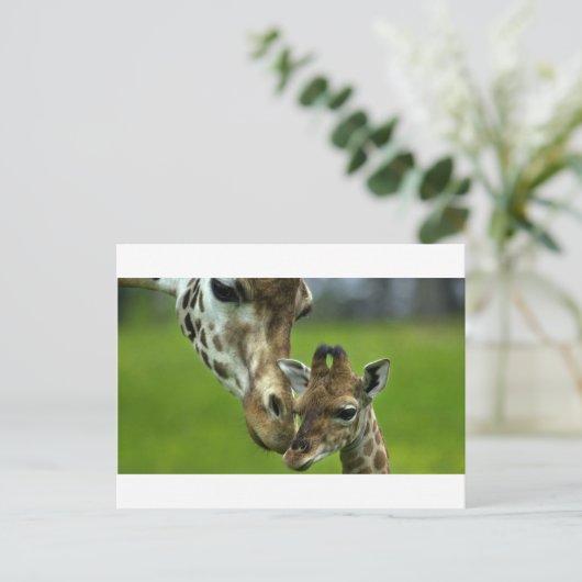 De liefde van de Giraffe moeder Briefkaart (Staand voorkant)