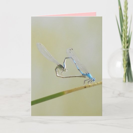 De Liefde van de libel Kaart (Voorkant)