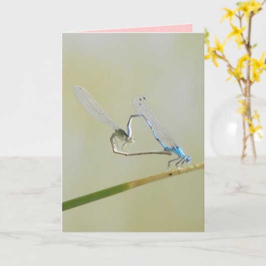 De Liefde van de libel Kaart (Gele Bloem)