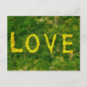 De Liefde van de paardebloem Briefkaart (Voorkant)