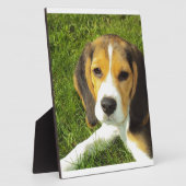 De Liefde van de Vrede van de Huisdieren van de Fotoplaat (Zijkant)