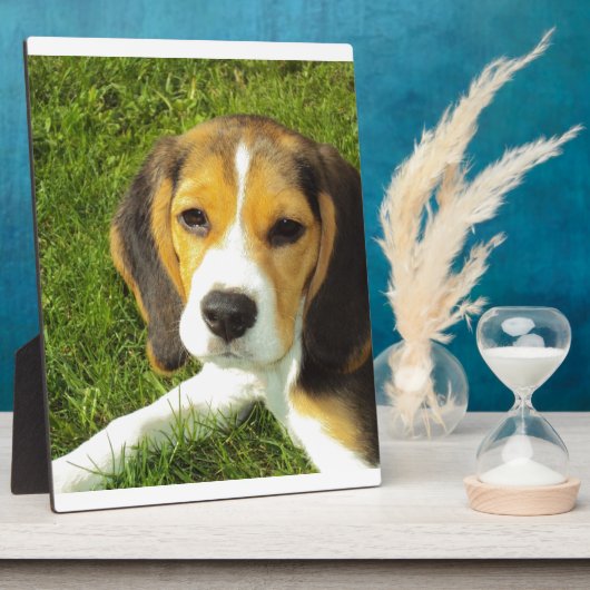 De Liefde van de Vrede van de Huisdieren van de Fotoplaat (Zijkant)