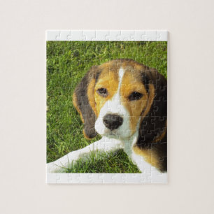 De Liefde van de Vrede van de Huisdieren van de Legpuzzel