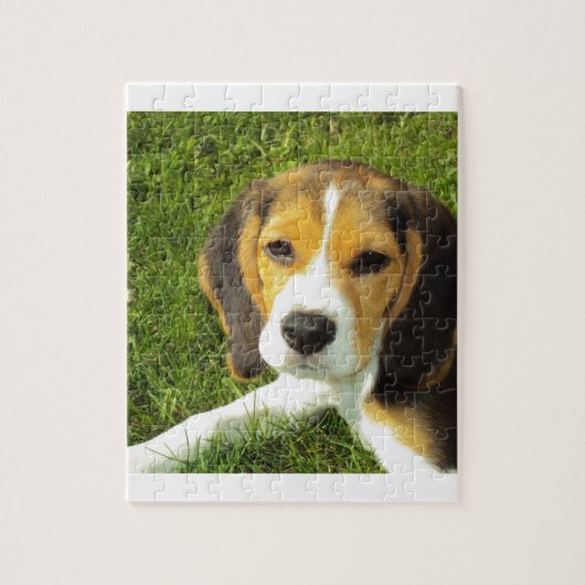 De Liefde van de Vrede van de Huisdieren van de Legpuzzel (Verticaal)