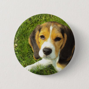 De Liefde van de Vrede van de Huisdieren van de Ronde Button 5,7 Cm