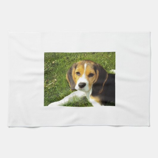 De Liefde van de Vrede van de Huisdieren van de Theedoek (Horizontaal)