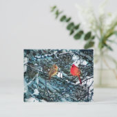 De liefde van de winter, briefkaart (Staand voorkant)