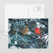 De liefde van de winter, briefkaart (Voorkant / Achterkant)